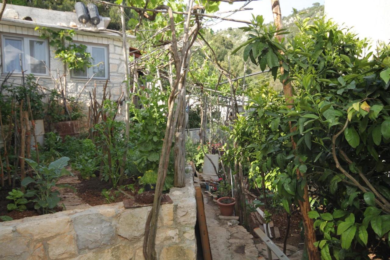 Seaside Secluded Apartments Cove Smokvina, Hvar - 4036 Bogomolje المظهر الخارجي الصورة