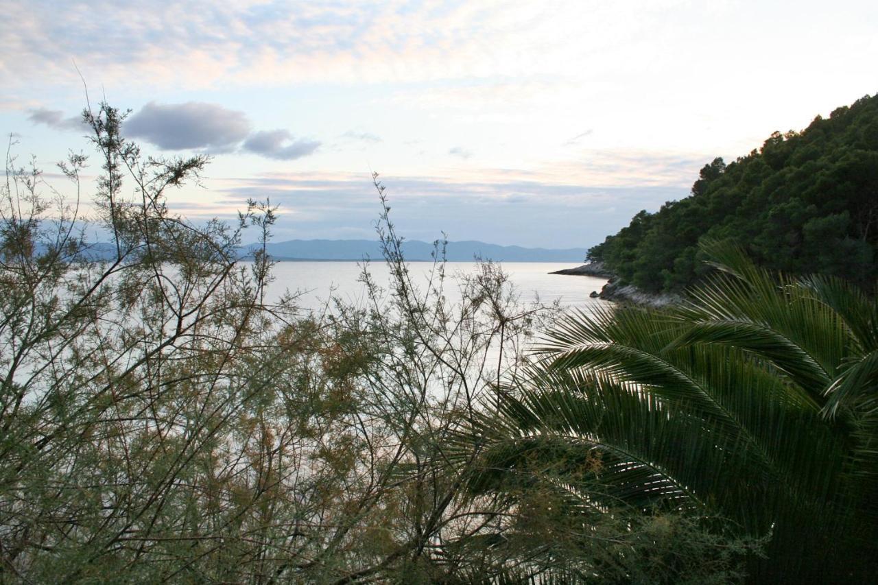 Seaside Secluded Apartments Cove Smokvina, Hvar - 4036 Bogomolje المظهر الخارجي الصورة