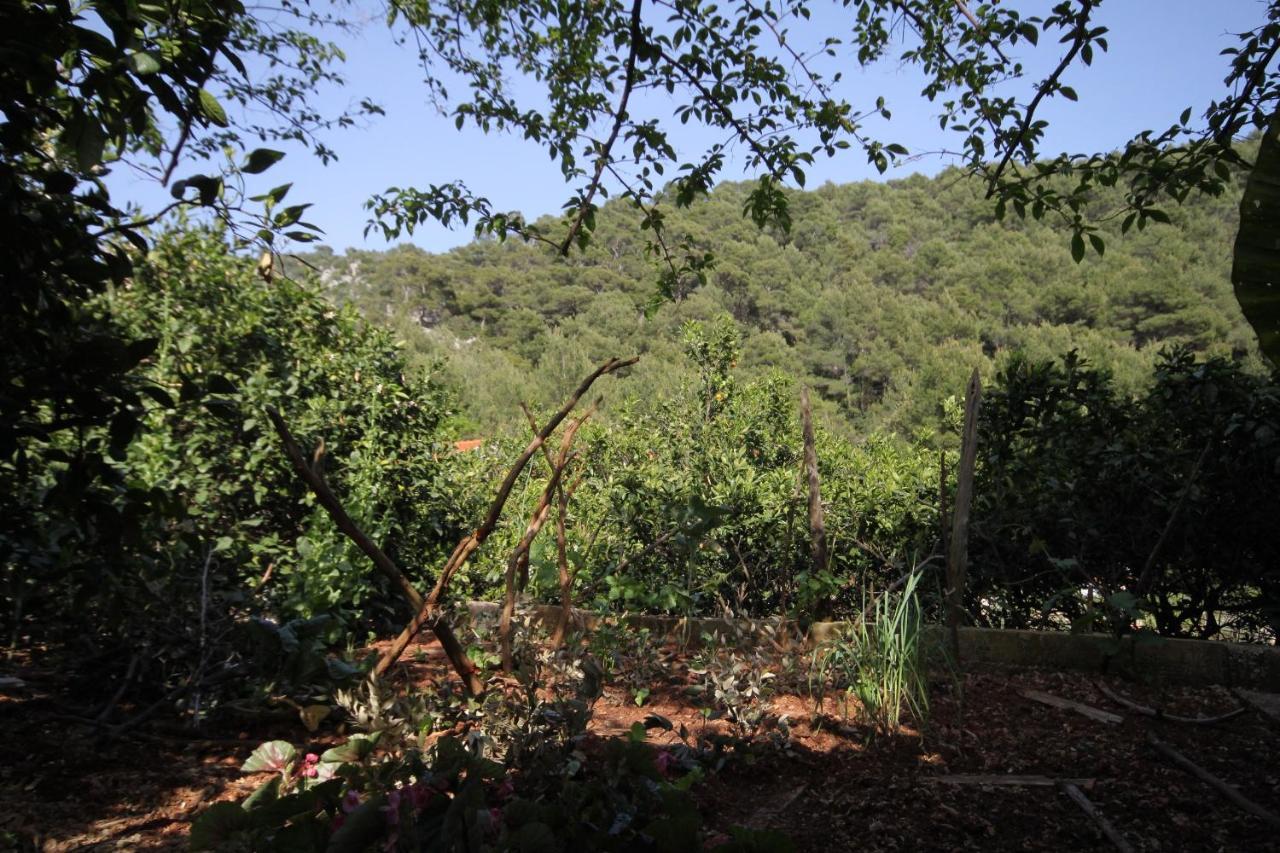 Seaside Secluded Apartments Cove Smokvina, Hvar - 4036 Bogomolje المظهر الخارجي الصورة